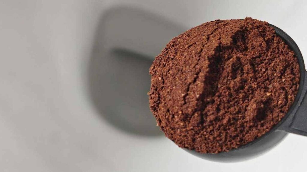 Ein Löffel reicht Darum geben immer mehr Menschen Kaffeesatz ins WC