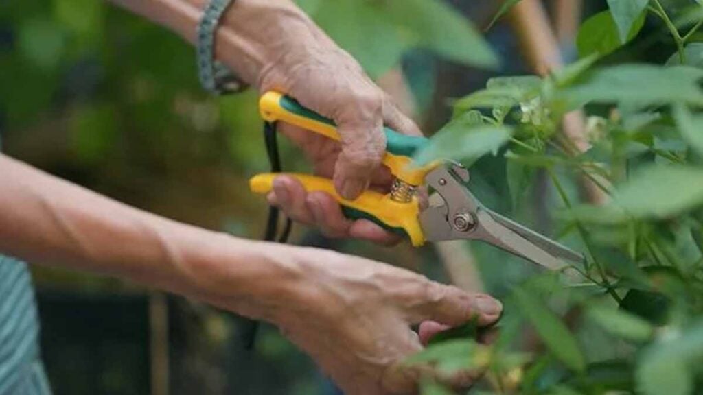 Lieber warten Für diese Gartenarbeiten ist es im März noch verfrüht