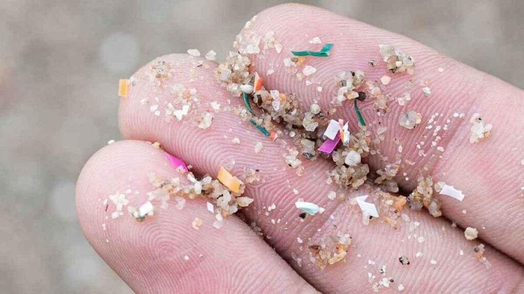 18-jährige Schülerin erfindet Wunderfilter, der 95,5 Prozent des Mikroplastiks entfernt