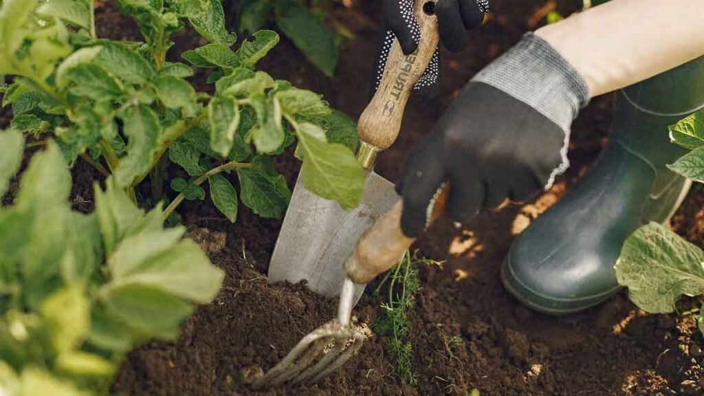 Bis zu 50.000 Euro Strafe möglich Diese Gartenarbeiten sind am Osterwochenende tabu