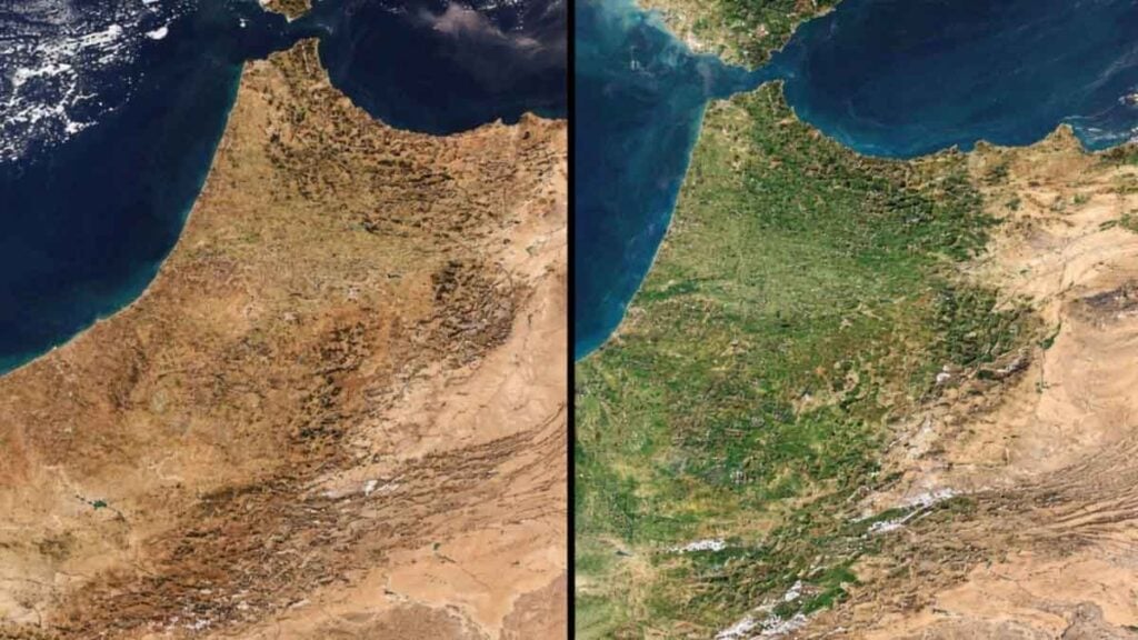 Satellitenbilder lassen keinen Raum für Zweifel In Marokko hat es so viel geregnet, dass es dort seit einem Jahrzehnt nicht mehr so überraschend grün aussah